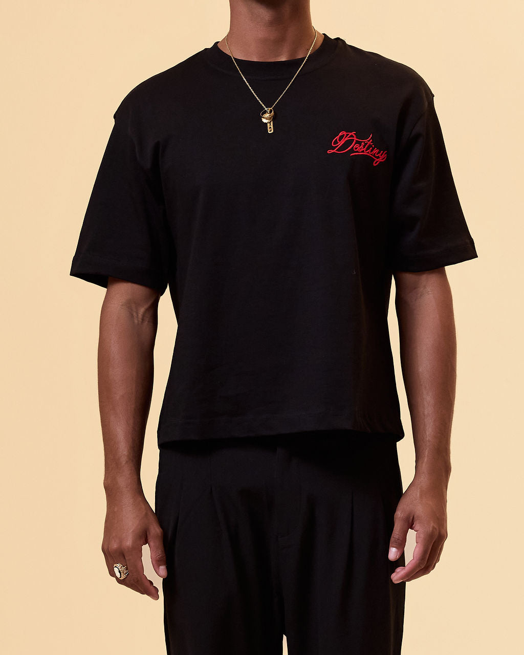T-SHIRT " DESTINY "