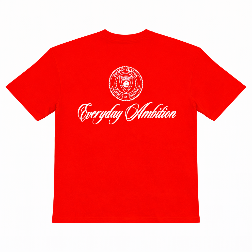 T-SHIRT - EVERYDAY AMBITION