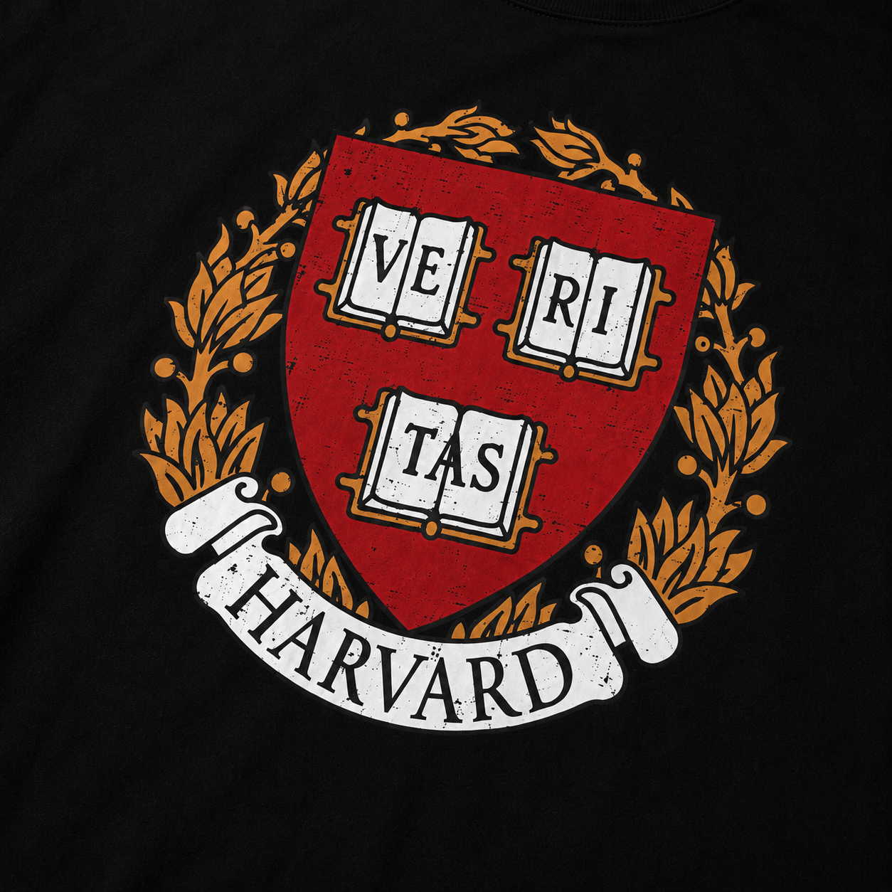 T-SHIRT - VARSITY HAVARD