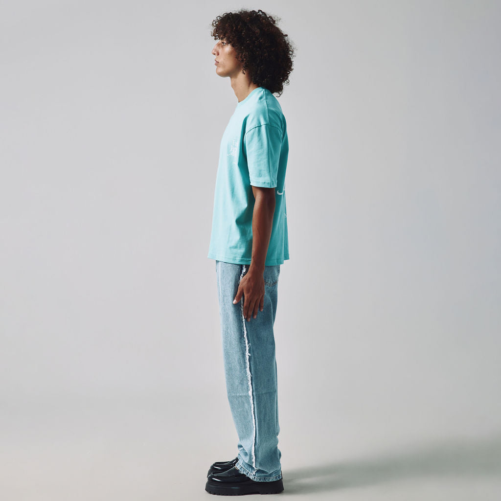 JEAN BAGGY À CÔTÉ EFFILOCHÉ